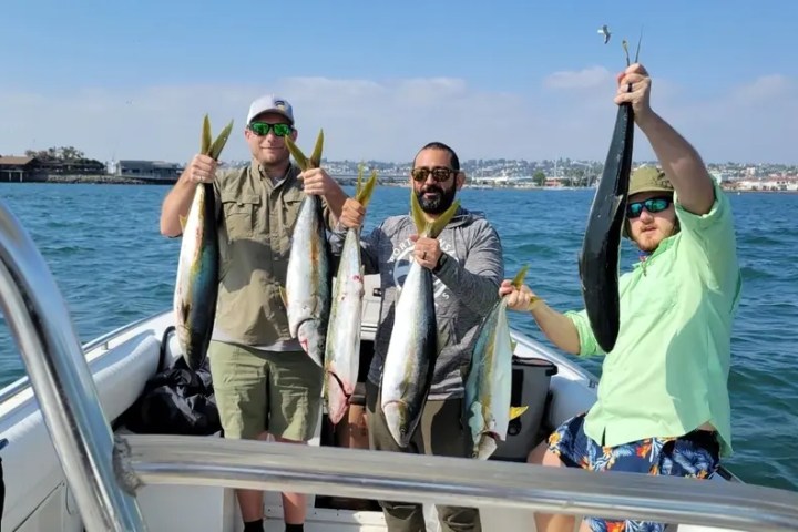 Three men on a boat holding large fish with water and cityscape in the background.