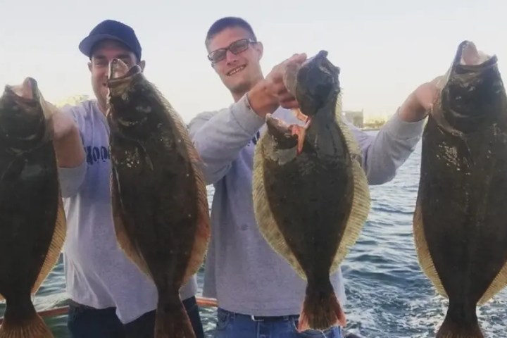 Two people on a boat holding large fish by the sea.