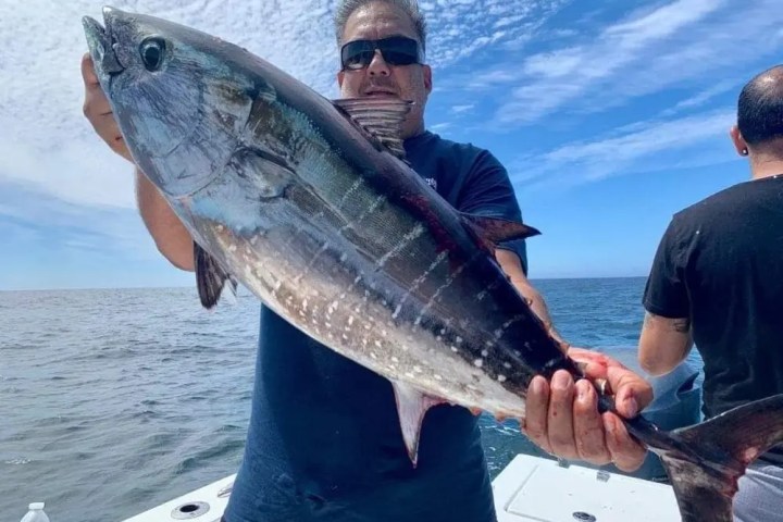 Person holding a large fish on a boat with ocean in the background.