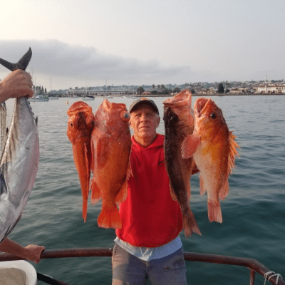 Man in red hoodie holding several fish on a boat with water and buildings in the background.
