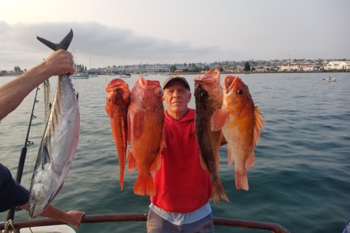 Man in red hoodie holding several fish on a boat with water and buildings in the background.