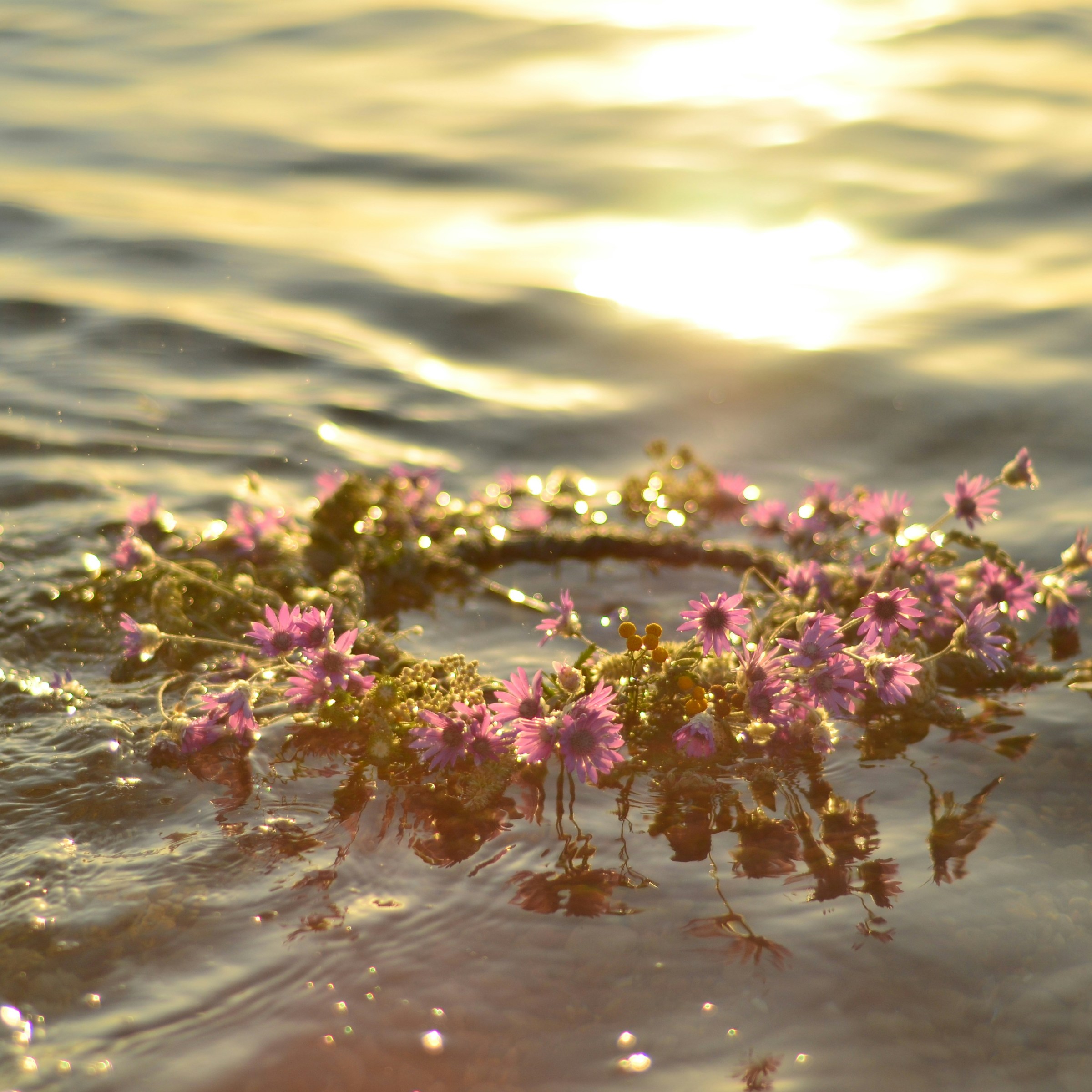 A flower wreath with pink flowers floating on sunlit water.