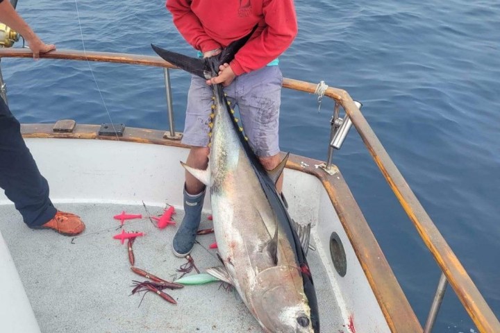 Person in red hoodie holding a large fish on a boat with ocean background.