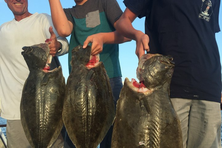 Three people holding large fish on a boat, smiling, under a blue sky.
