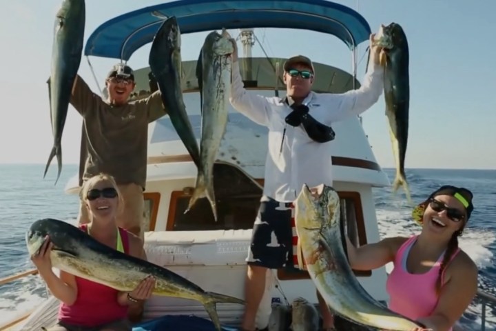 Four people on a boat holding large fish and smiling at sea.